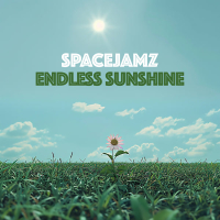 Endless Sunshine (Single)