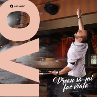 Vreau sa-mi fac viata (Single)