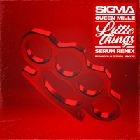 Little Things (Serum Remix) (Single)