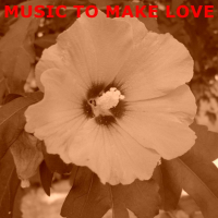 Music to make love (Single)
