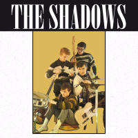 The Shadows (2013 Remastered)