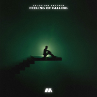 Feeling Of Falling (Single)