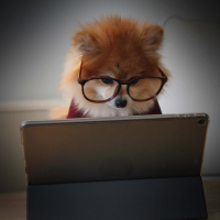 Storm Sounds for Concentration and Study (Single)