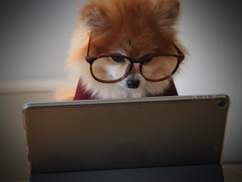 Storm Sounds for Concentration and Study (Single)