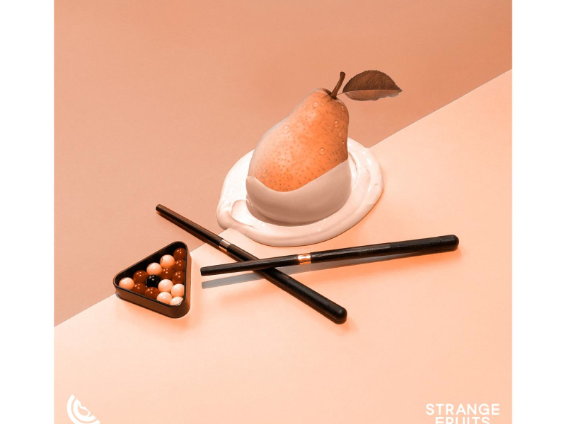 Warning Signs (feat. TL) [5ALVO Remix] (Single)