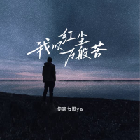 我叹红尘万般苦 (DJ九零版) (Single)