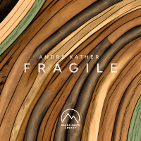 Fragile (Single)