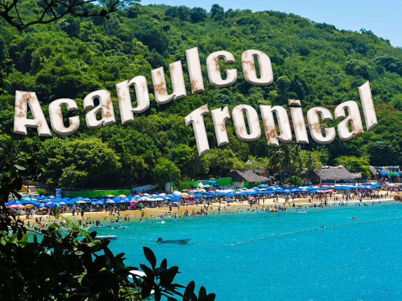 Exitos Del Acapulco Tropical Vol. 4