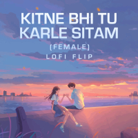 Kitne Bhi Tu Karle Sitam (Lofi Flip) (Single)