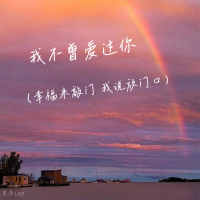 我不曾爱过你 (幸福来敲门 我说放门口) (Single)