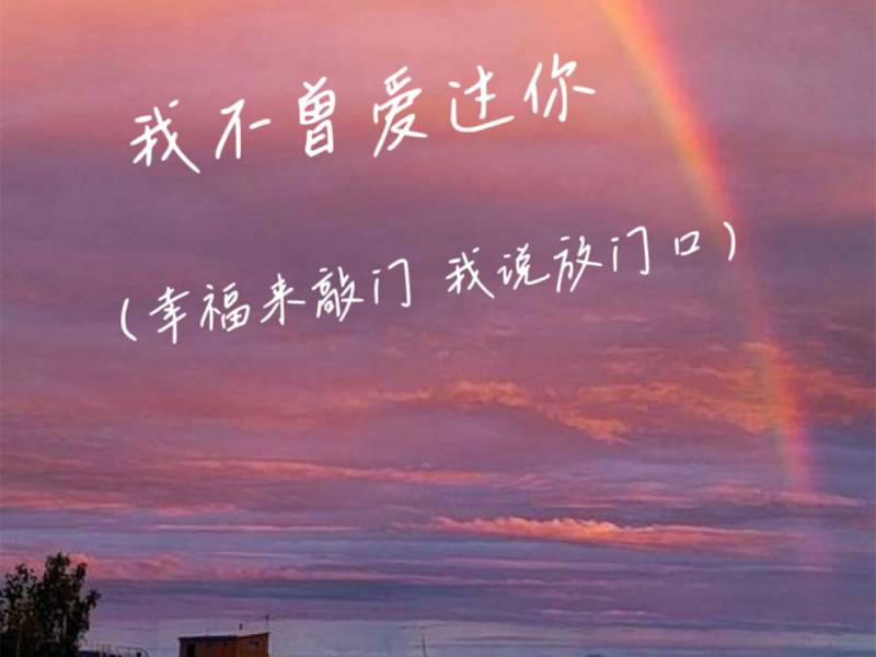 我不曾爱过你 (幸福来敲门 我说放门口) (Single)