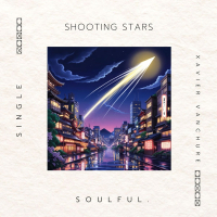 Shooting Stars (Single)