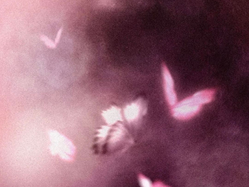 Into You x Lush Life (EP)