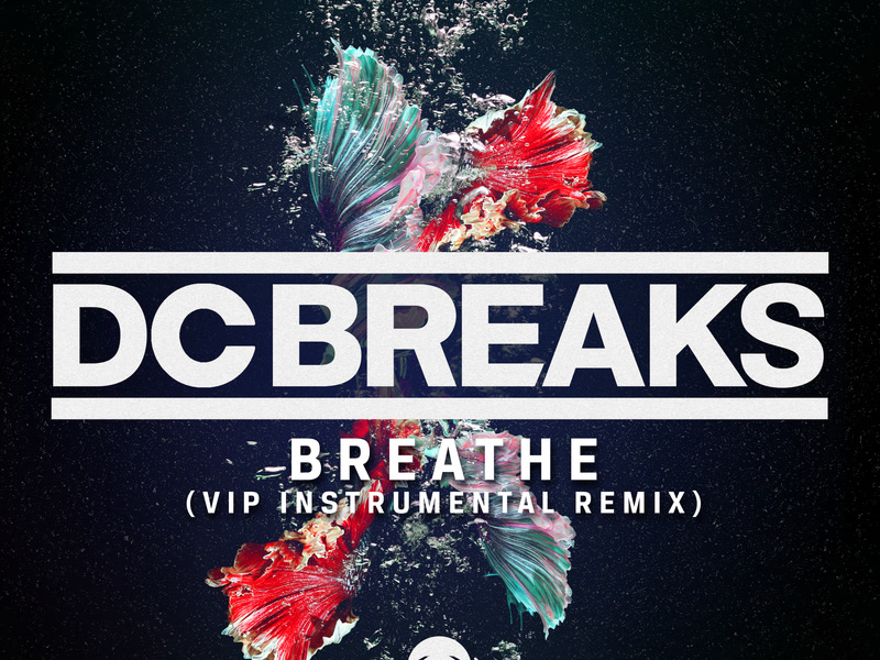 Breathe (VIP Instrumental Remix) (Single)