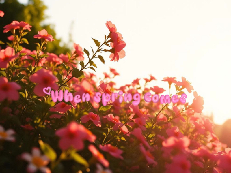 When Spring Comes (Single)