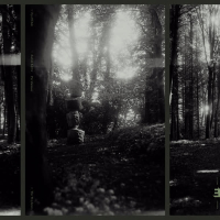 Fields of Kyiv (Single)