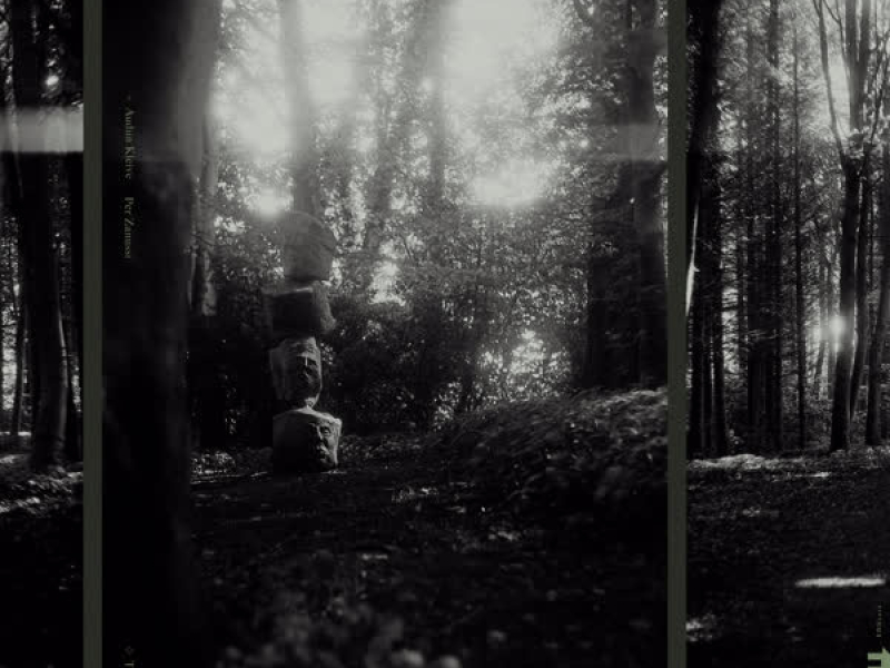 Fields of Kyiv (Single)