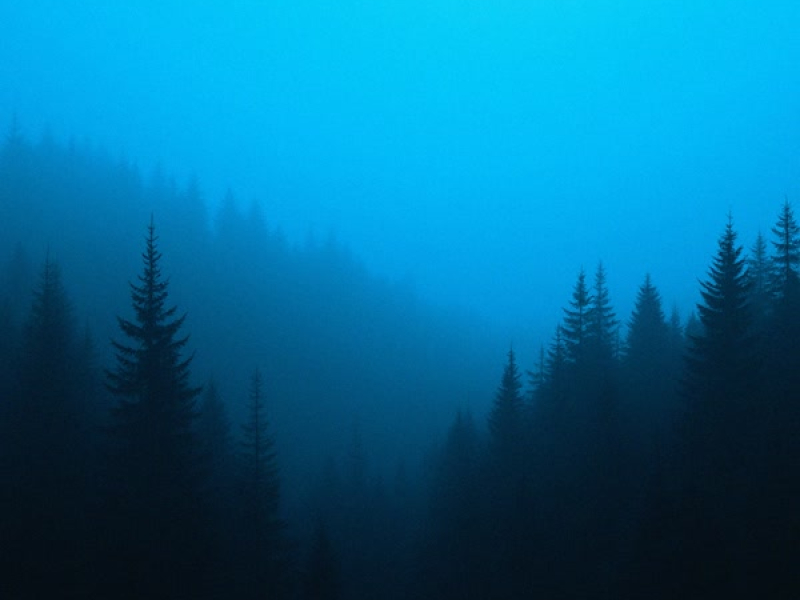 follow my heart (EP)