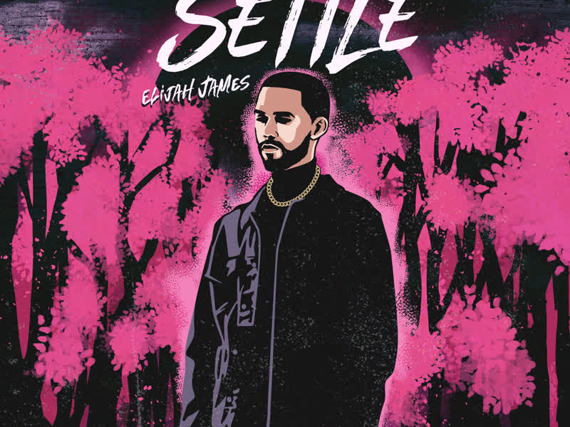 Settle (Single)