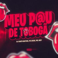 Ela Faz Meu Pau de Tobogã (Versão RJ) (Single)