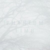 Phantom Limb (feat. Mikae) (Single)