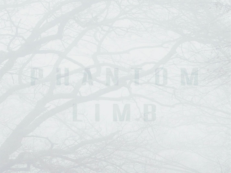 Phantom Limb (feat. Mikae) (Single)