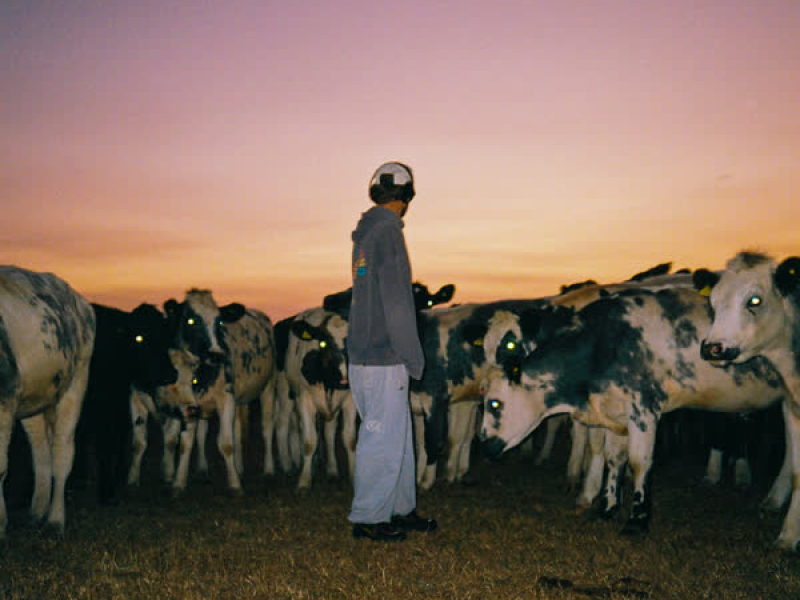 Daylight Dreaming (Single)