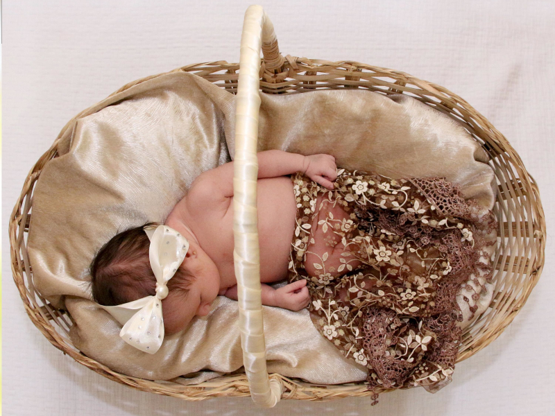 Música para Bebés: Canciones de Cuna con Sonido de Naturaleza (Single)