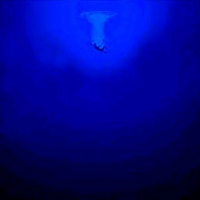 The Elite EP (Clean)