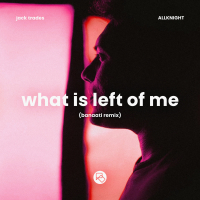 What Is Left Of Me (Banaati Remix) (Single)