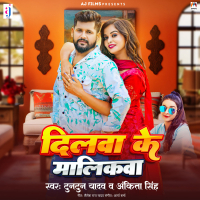 Dilwa Ke Malikawa (Single)