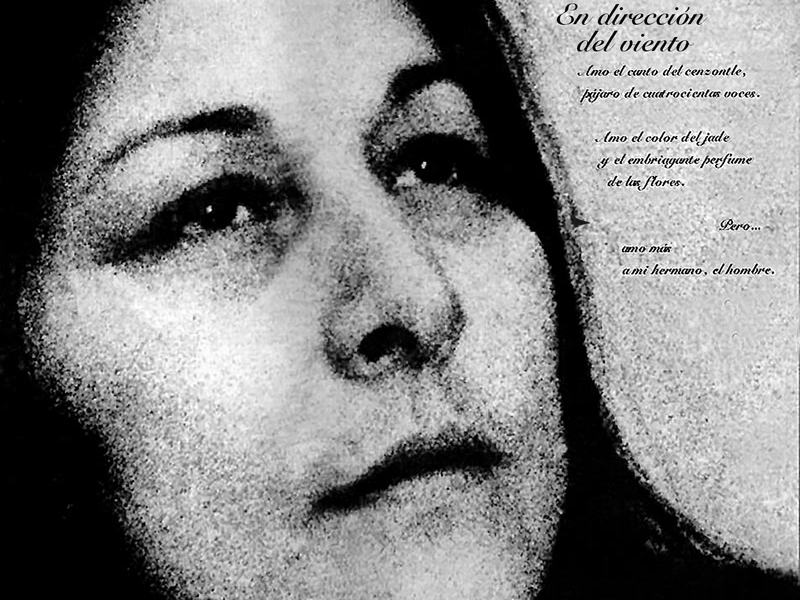 En Direccíon Del Viento