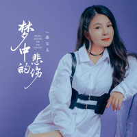 梦中的悲伤 (Single)