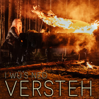 I wü's ned versteh (Single)