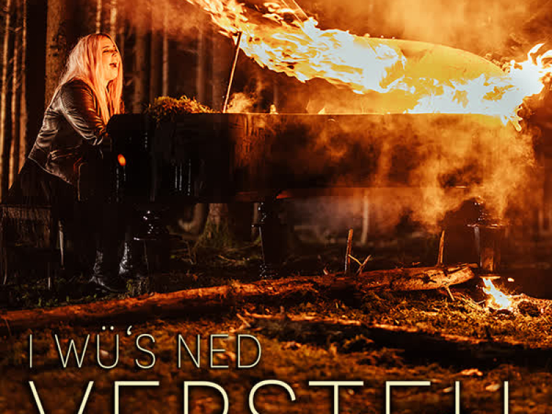 I wü's ned versteh (Single)