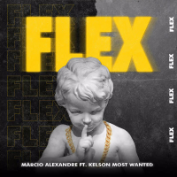 FLEX (Single)