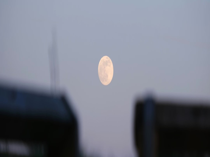 Fuck Fakers (Single)