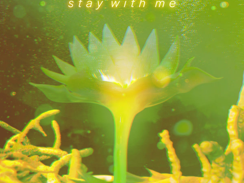 stay with me (Single)