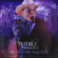 Mi Mayor Riqueza (En Vivo) (Single)