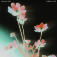 nobody (make me feel) (Single)