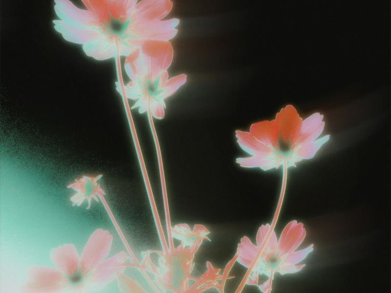 nobody (make me feel) (Single)