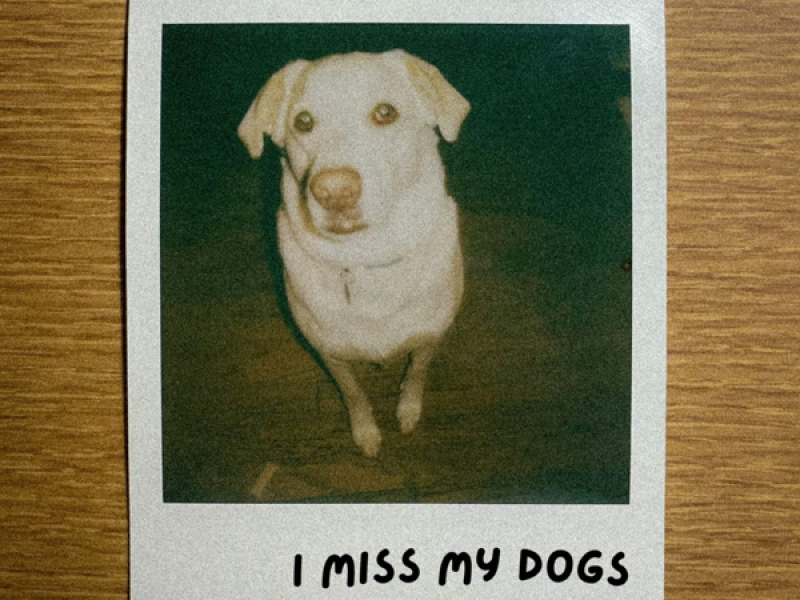 I Miss My Dogs (Single)