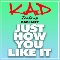 Just How You Like It (Keep It Lemon - Sped Up) (Single)