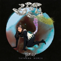 Holes (TAYHANA Remix) (Single)