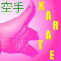 Musica per il Karate Vol. 12 (Single)