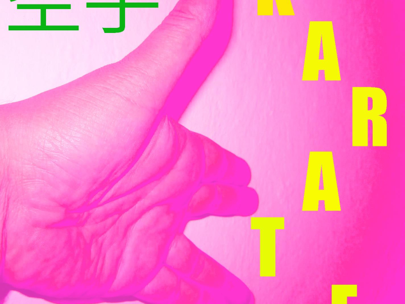 Musica per il Karate Vol. 12 (Single)