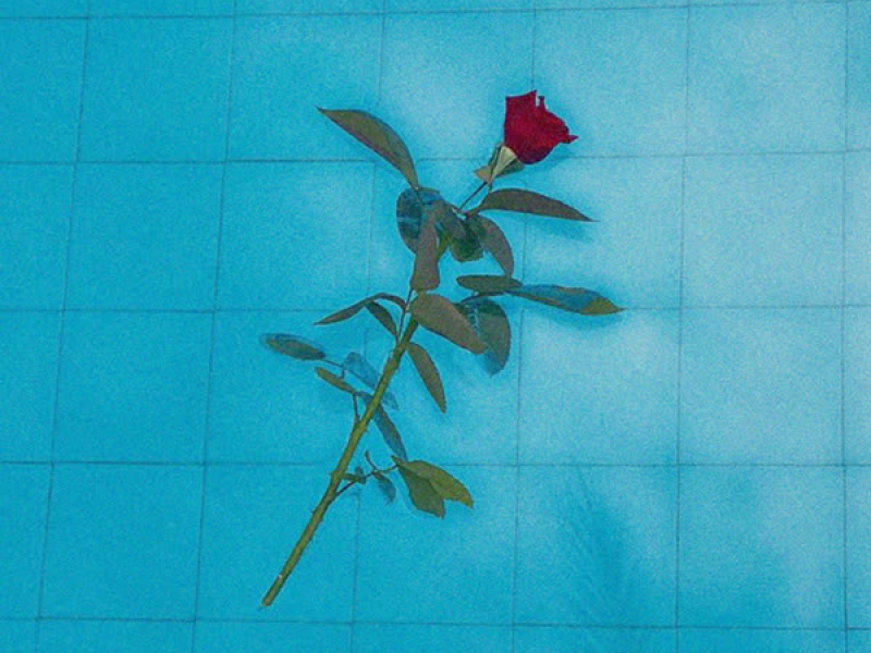 Cold Summer (Single)