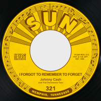 I Forgot to Remember To Forget / Katy Too (Single)