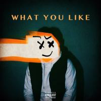 What You Like (Single)