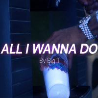 All I Wanna Do (Single)